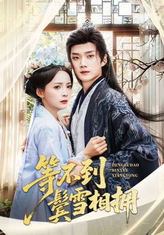 短剧 《等不到鬓雪相拥》 超高清无删减全集完整版免费在线看