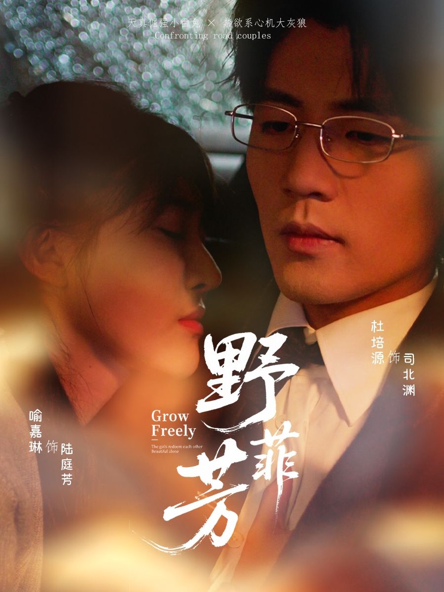 短剧野芳菲HD高清无删减全集在线播放，1080P画质细腻。田园治愈故事，聚焦平凡生活中的温暖与成长，全集畅享，共赴一场爱与希望的芬芳之旅。
