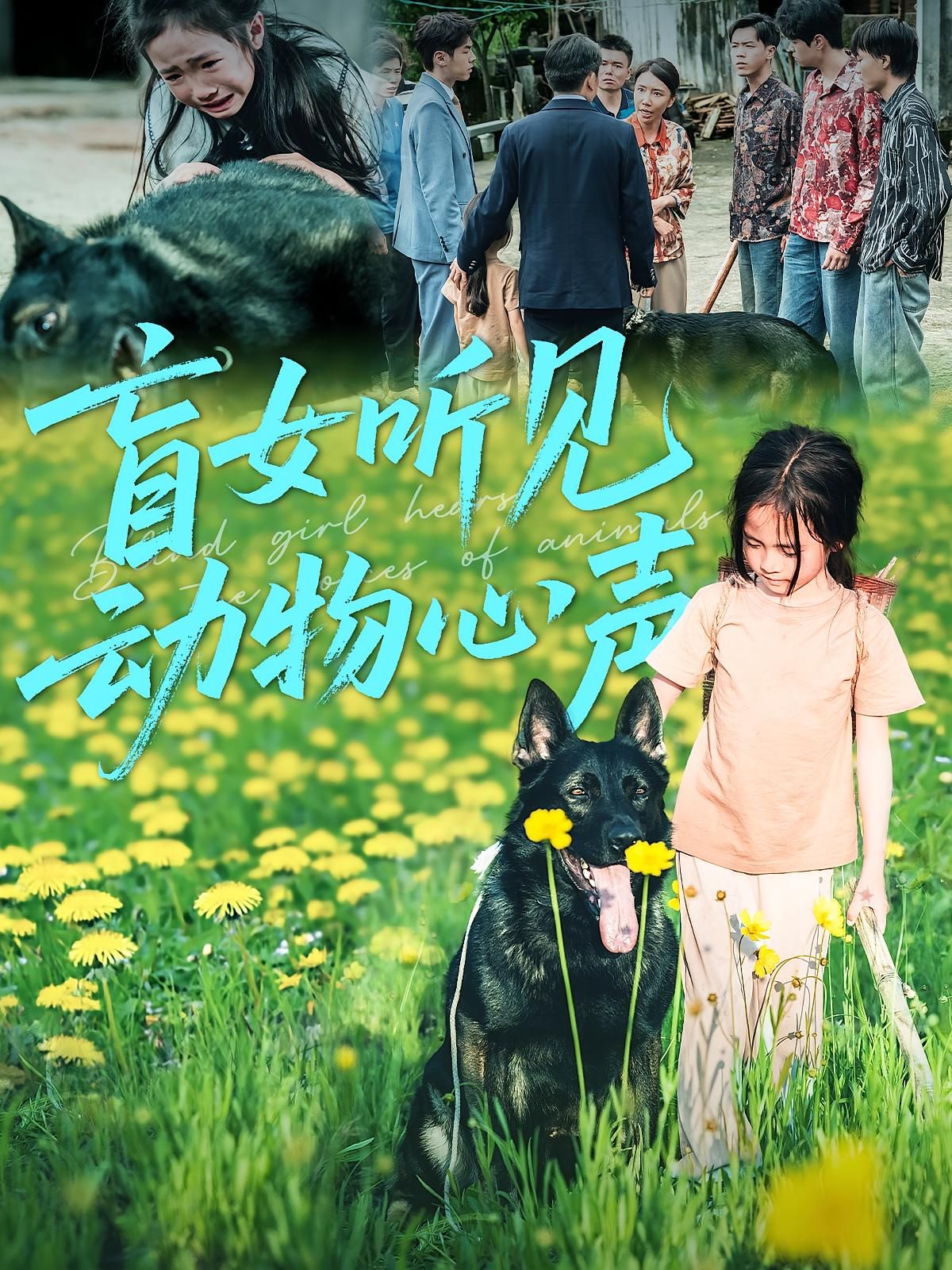 盲女意外获得听懂动物心声的能力，从此与生灵对话，助动物解困，探秘暖心故事。高清完整全集无删减版在线观看，共赴这场奇缘。