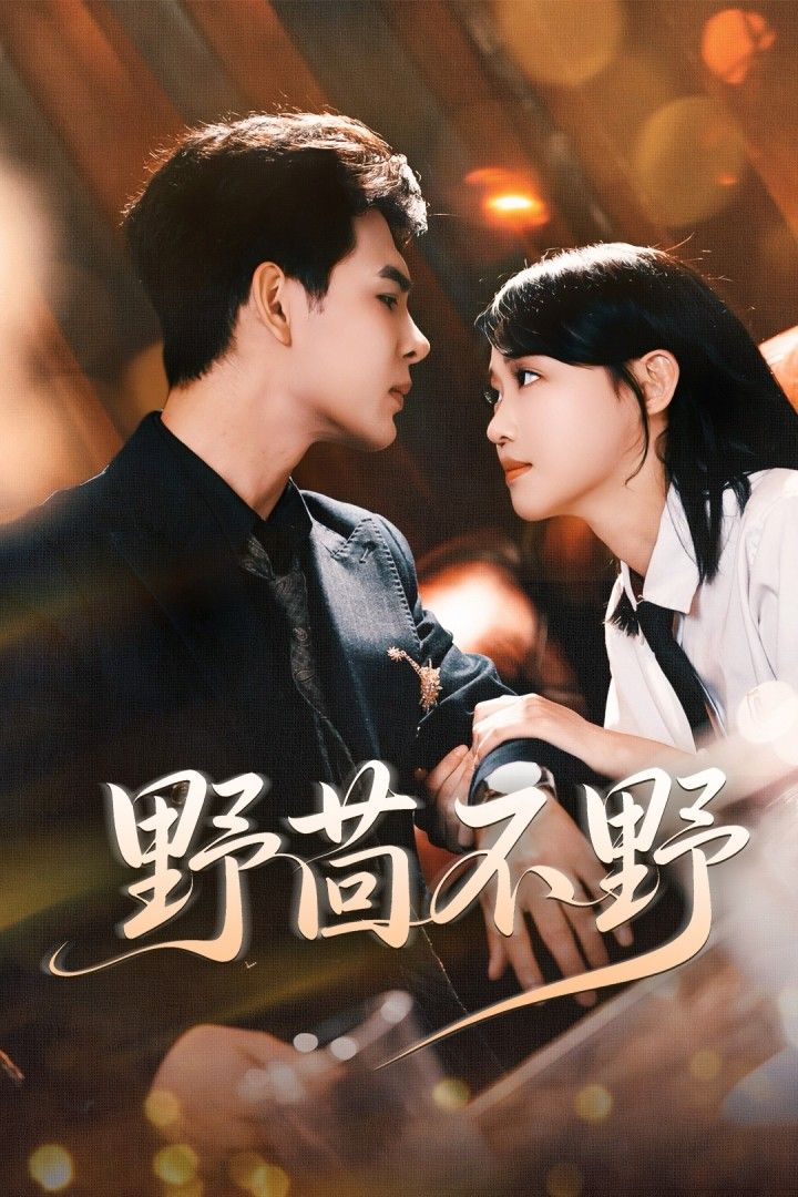 短剧野茴不野高清完整全集无删减版在线免费播放！小人物的烟火人生，温情与成长交织，细腻刻画市井百态。无需会员，即刻解锁，感受这份接地气的治愈与力量。