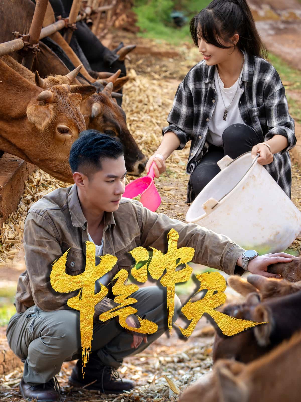 短剧牛气冲天高清全集上线!爆笑职场逆袭×热血逐梦,看小人物如何牛转乾坤,笑点与泪点齐飞。高清画质无广告,免费在线看,点击即可畅享这份牛气盛宴! 短剧牛气冲天高清全集上线!爆笑职场逆袭×热血逐梦,看小人物如何牛转乾坤,笑点与泪点齐飞。高清画质无广告,免费在线看,点击即可畅享这份牛气盛宴!