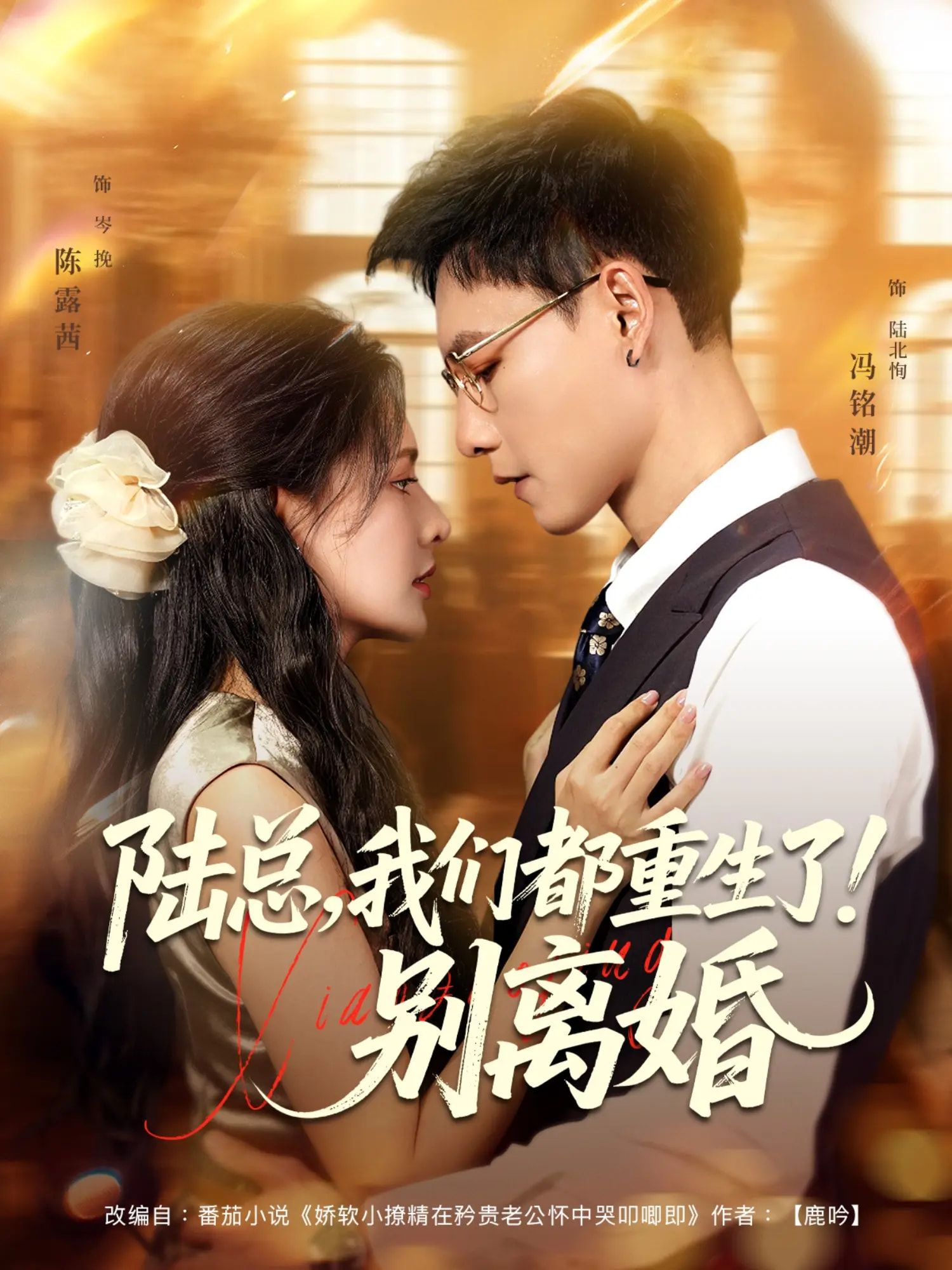 陆总我们都重生了别离婚超高清全集！前世离婚遗憾，今生重生归来，陆总夫人携记忆追爱，誓要扭转命运，甜宠虐恋交织，看两人如何打破离婚魔咒，锁定全集共赴重生之约。