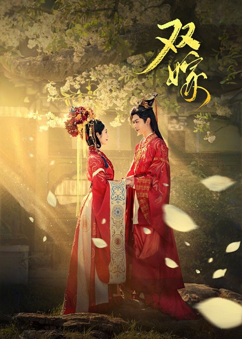 短剧双嫁在线观看，超高清全集无删减版！双生姐妹命运交织，爱恨纠葛步步惊心，全集解锁，沉浸追剧无卡顿，精彩不容错过！