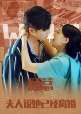 短剧顾总，夫人说她已经离婚1080P HD超高清全集完整版在线看，聚焦顾总与夫人离婚后的情感拉扯，误会与心动交织，超清画质细腻呈现每一帧心动瞬间，全集完整更新，在线畅享精彩剧情。