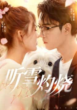 热门短剧《听雪灼烧（68集）希尔力，刘美娜》 全集完整版免费播放在线观看未删减版资源，短剧百度网盘夸克网盘免费资源分享下载