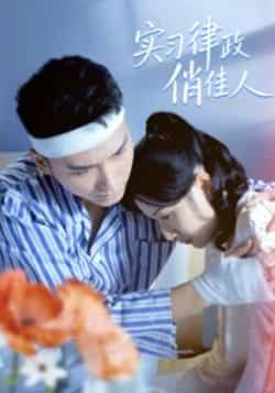 热门短剧《实习律政俏佳人》 最新全集完整版免费在线观看播放未删减版资源，短剧百度网盘夸克网盘免费资源分享下载