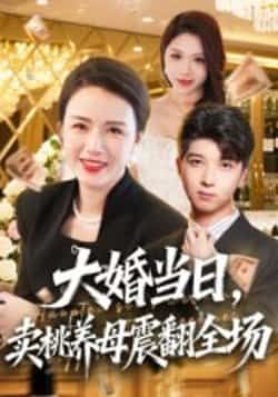 热门短剧大婚当日，卖桃养母震翻全场全集完整版实时更新，未删减版资源免费在线观看，百度网盘、夸克网盘免费分享下载。