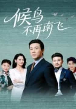 热门短剧《候鸟不再南飞》 全集完整版免费无卡顿在线观看播放未删减版资源，短剧百度网盘夸克网盘免费资源分享下载