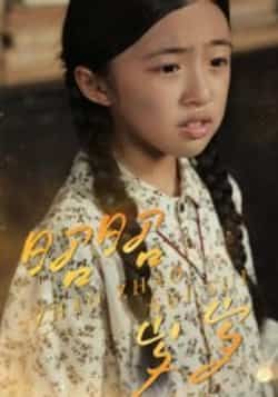 热门短剧《昭昭岁岁》 全集完整版免费播放在线观看未删减版资源，短剧百度网盘夸克网盘免费资源分享下载