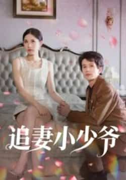 热门短剧追妻小少爷全集完整版未删减版，极速免费在线观看，百度网盘、夸克网盘免费资源分享下载，高清无广告畅追剧情。