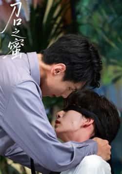 热门短剧刀口之蜜全集完整版免费播放在线观看，未删减版资源同步更新，百度网盘、夸克网盘免费资源分享下载，畅享无删减剧情。