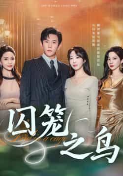 热门短剧囚笼之鸟全集完整版免费在线观看，未删减版高清资源。百度网盘、夸克网盘免费分享资源下载，流畅播放无广告。