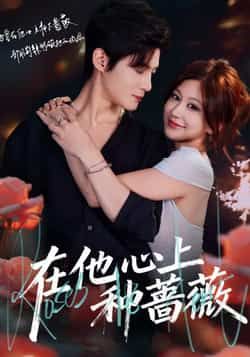 热门短剧《在他心上种蔷薇》 最新全集完整版免费在线观看播放未删减版资源，短剧百度网盘夸克网盘免费资源分享下载