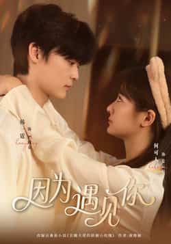 热门短剧因为遇见你全集完整版更新完毕！未删减版免费在线观看，百度网盘、夸克网盘资源同步开放，无需付费即可畅享剧情，快来下载追更吧！