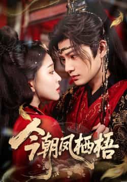 热门短剧《今朝凤栖梧》 全集完整版免费在线观看播放未删减版资源，短剧百度网盘夸克网盘免费资源速存分享下载