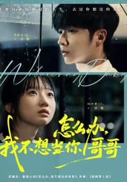 热门短剧怎么办，我不想当你哥哥全集完整版纯净免费在线观看，未删减版资源，百度网盘、夸克网盘免费分享下载，速取！